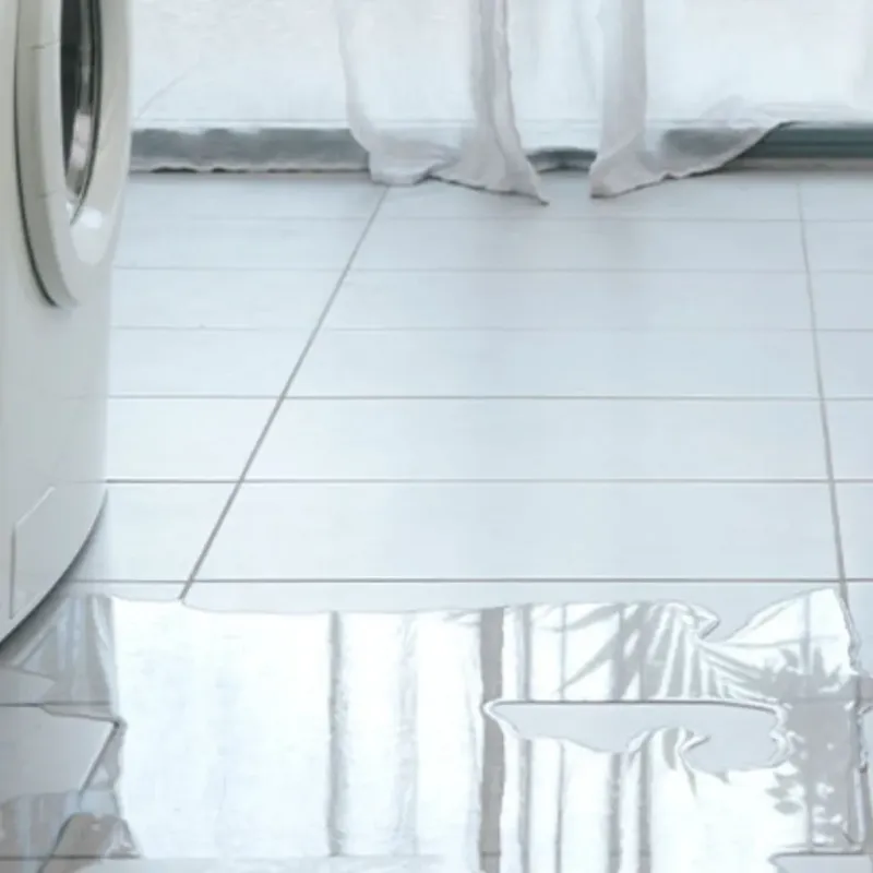 Appliance Leak Cleanup in Clearwater, FL