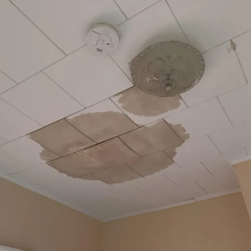 Ceiling Water Damage Repair in Clearwater, FL
